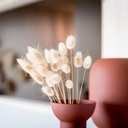 Апартаменты L'etage Et Son Patio Ruelle-sur-Touvre